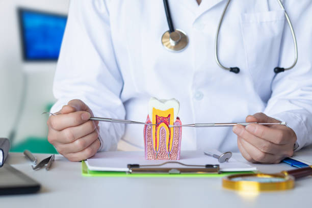 Best Emergency Dentist for Lost Fillings or Crowns in Coleman, TX
